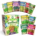 Zengreens Keimsprossen